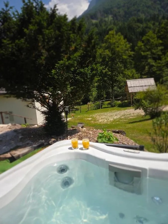 Masažna kad na prostem s pogledom na gozd