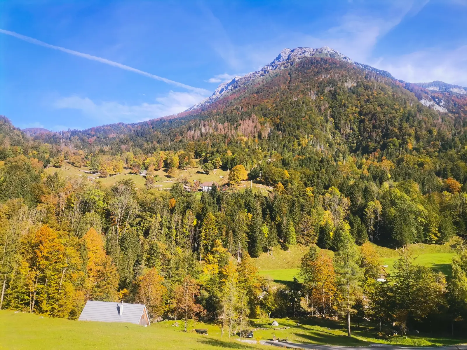 Jesenski gozd v zlatih barvah nad dolino, spodaj streha hiše