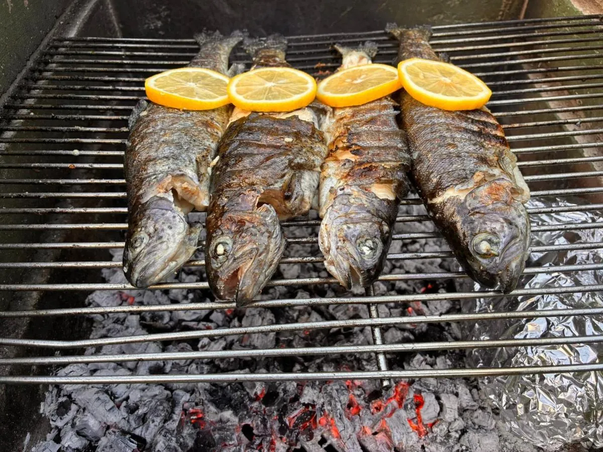 Postrvi z rezinami limone na žaru